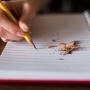 Como escrever um texto argumentativo?