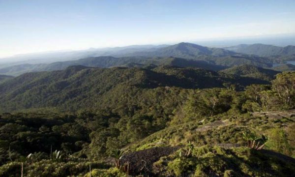 Características do clima tropical de altitude