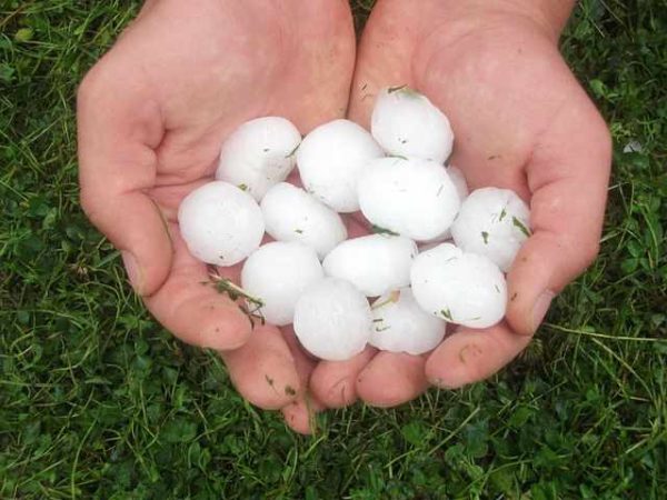 Granizo e seus perigos