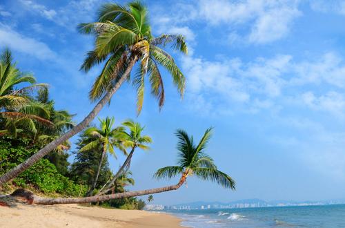 Clima tropical litorâneo