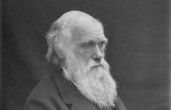 Definição do darwinismo