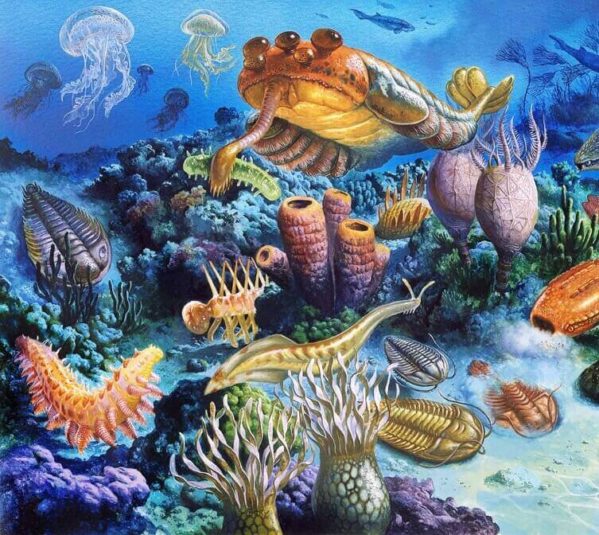 Características do paleozóico
