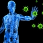 Funções do Sistema Imunológico